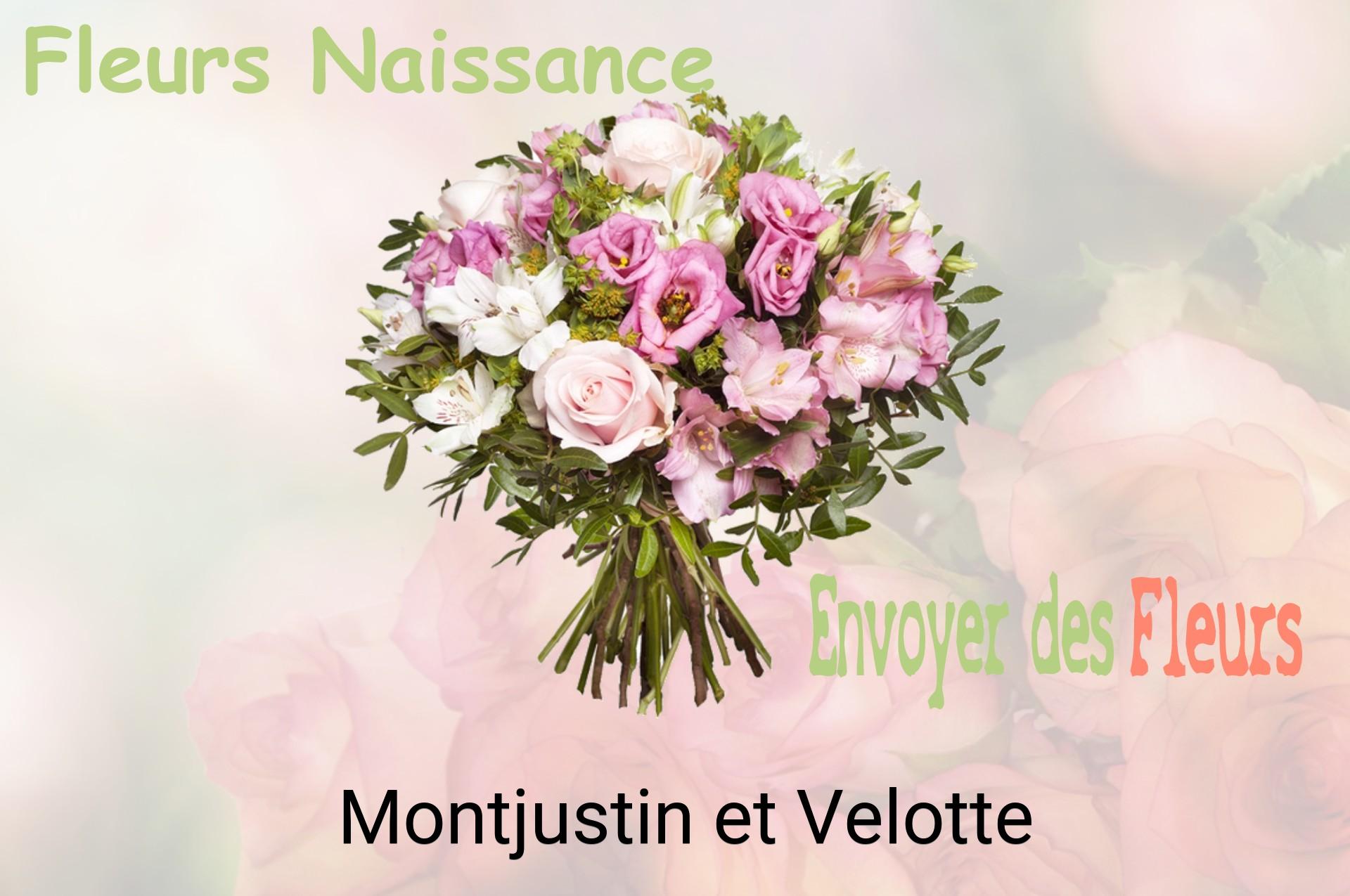 Bouquet de fleurs de naissance livré à Montjustin-et-Velotte